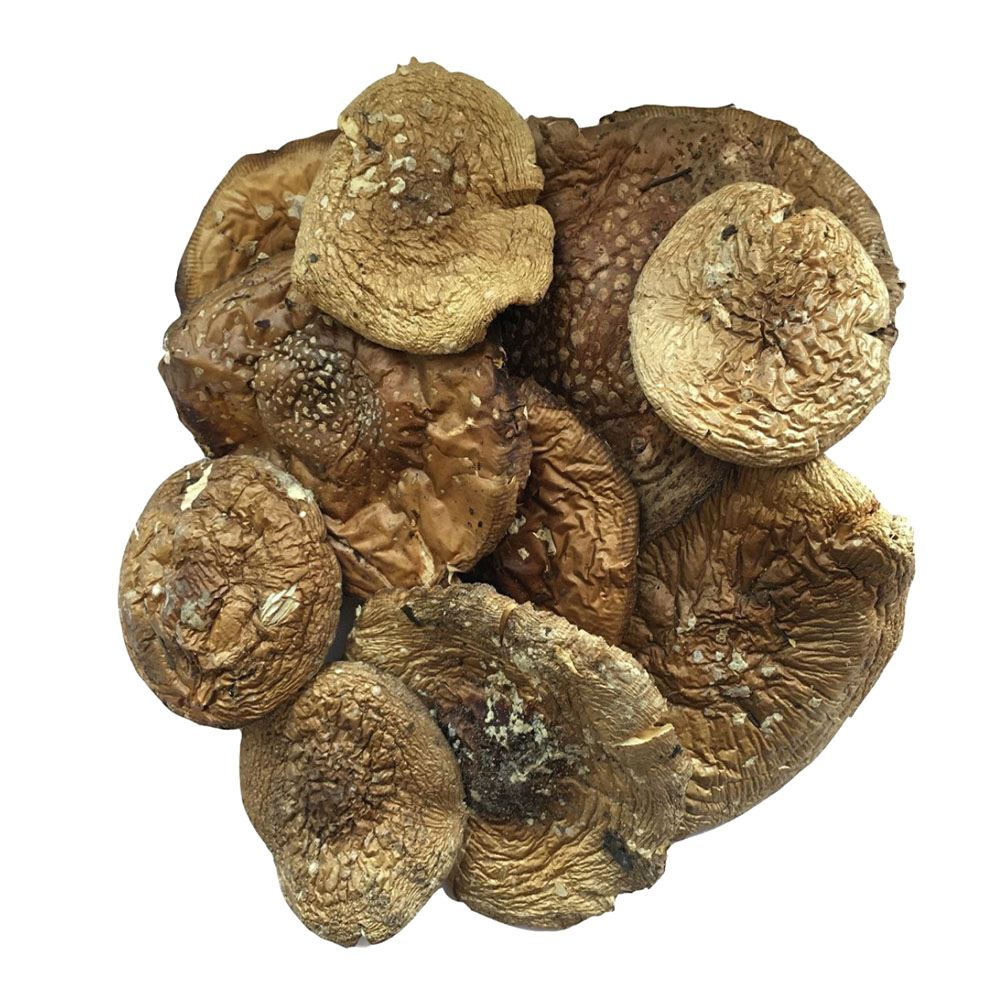 🎁 Пантерный мухомор (30 гр.)