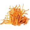 Кордицепс военный (Cordyceps militaris) - (50 гр.)